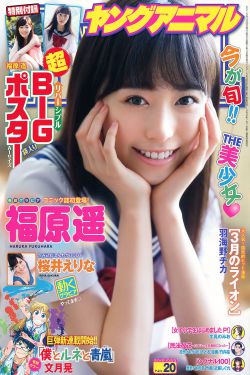 内线前传电视剧全集