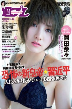 女书记花瓣