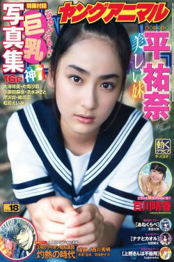 精武门李连杰