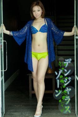 青春烈火电视剧剧情介绍