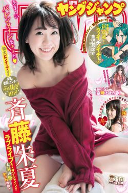 艋甲